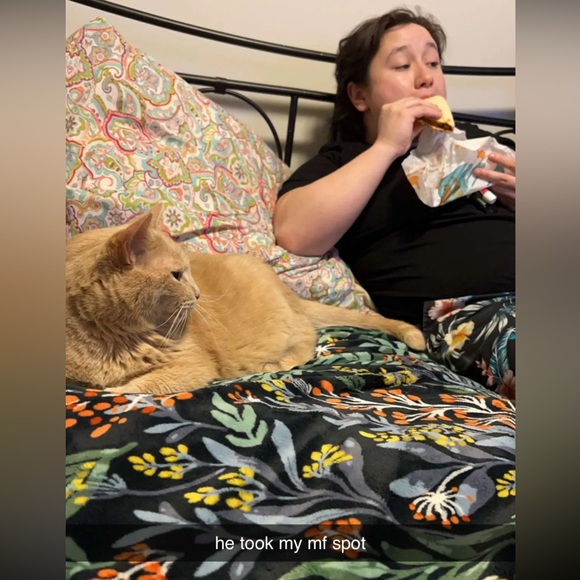 Meet your Posher, Katie-jane - Picture 3 of 7